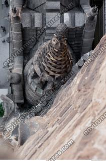 sagrada familia 0002